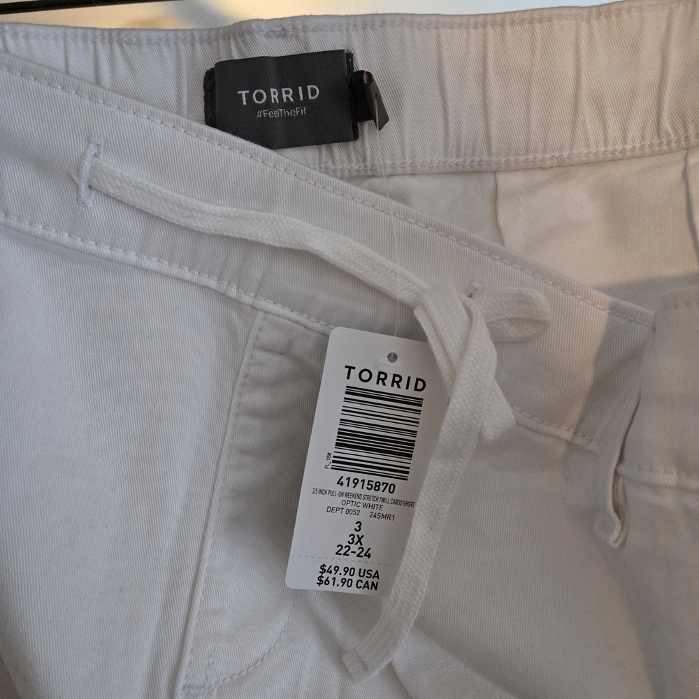 46. Torrid Shorts - Picture 6 of 6